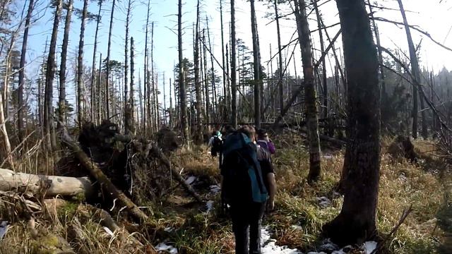 В "круге Пидана". Пеший круговой поход от села Лукяновка до горы Ливаийская (Пидан). смотреть онлайн