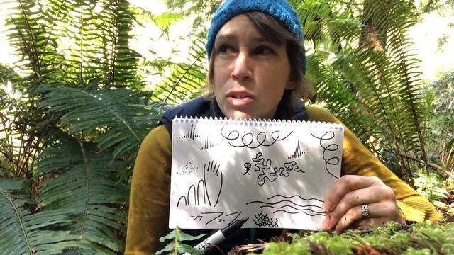 Make a Sound Map! - A Nature Journal Activity смотреть онлайн