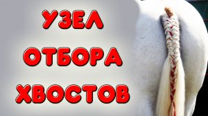 НУЖЕН ЛИ УЗЕЛ ОТБОРА ХВОСТОВ. Моя покупка на авито. Что такое узел отбора хвостов или УНО