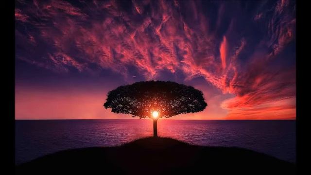Mansur Chikhalov - Dido Anam Dido смотреть онлайн