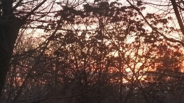 О ЧЕМ ПРЕДУПРЕЖДАЮТ НАШИ СНЫ... ПРИМЕТЫ О СНАХ . народные приметы и поверья смотреть онлайн