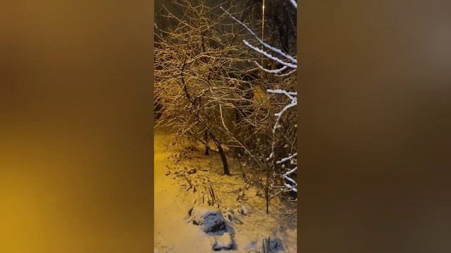 Я вам покажу где раки зимуют! смотреть онлайн