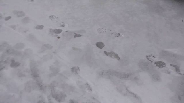 Строю дом своими руками в США. Погрузка материалов. смотреть онлайн