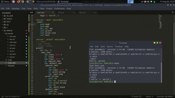 // Язык Ассемблера #5 [FASM, Linux, x86-64] //