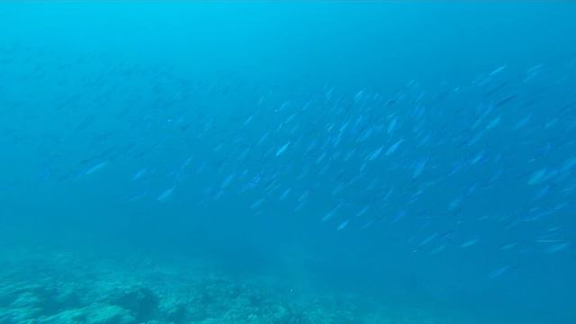 MALDIVES//SUMMER 2018 смотреть онлайн
