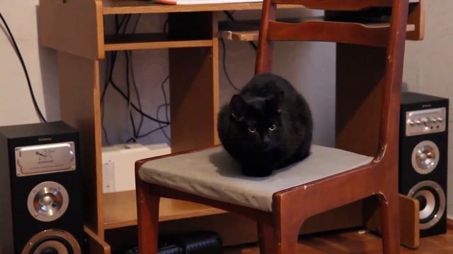 Ка-Пэкс смотреть онлайн