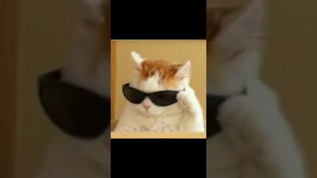 Эстетичные аватарки) ? смотреть онлайн