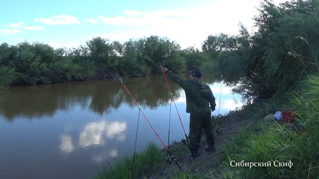 Карась на Соску/Отличный Клёв/Рыбалка на Реке Каргат смотреть онлайн