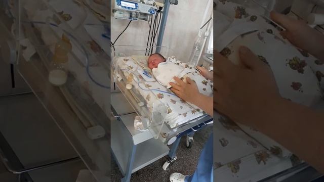 роддом #2 Новокузнецк Заводской район смотреть онлайн
