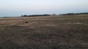 Весенняя охота в Омской области май 2021