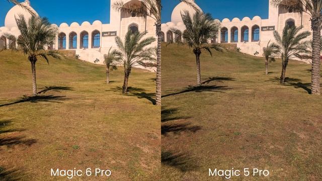 Honor Magic 6 Pro Vs Honor Magic 5 Pro Camera Test
