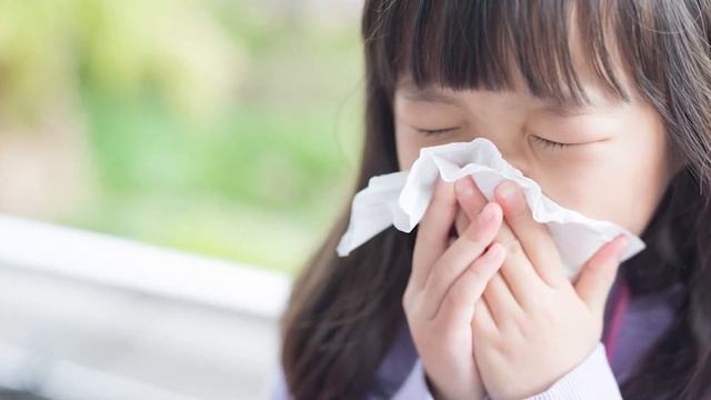 Безумные факты о Японских Школах смотреть онлайн