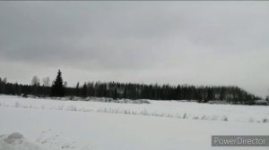 Сельское хозяйство Финляндии. Как живет финский фермер.
