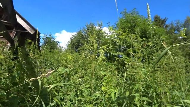 Деревенский беспредел! Съездил в деревню, на родину. смотреть онлайн