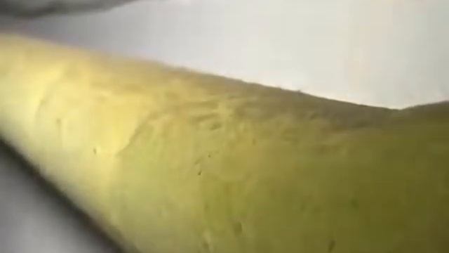 Дом, олицетворяющий стиль