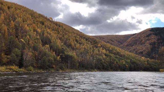 Выезд на Анюй.Золотая осень 🍂 красивая,чистая,бурная река… смотреть онлайн