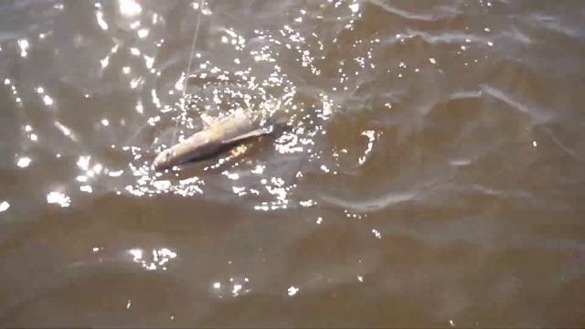 Рыбалка на Иваньковском водохранилище. Открытие сезона 2020. Артем Мишин, Михаил Калинин. смотреть онлайн