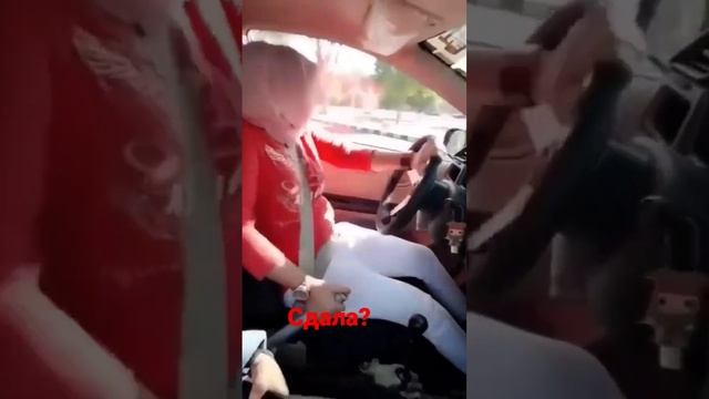 Сдача экзамена в автошколе с 01.09.23г смотреть онлайн