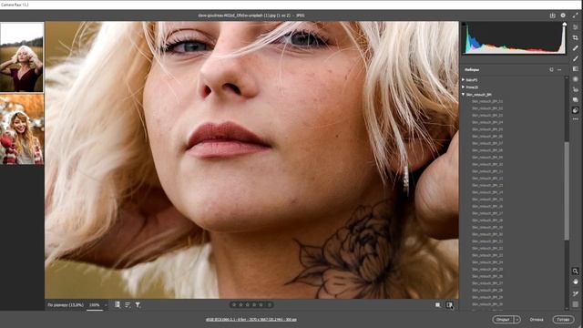 50 готовых пресетов для ретуши в camera raw смотреть онлайн