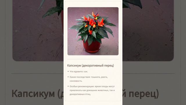 Эти растения опасные для животных #животные #кошки #собаки смотреть онлайн