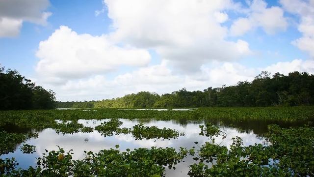 Делай То, Что Созидает