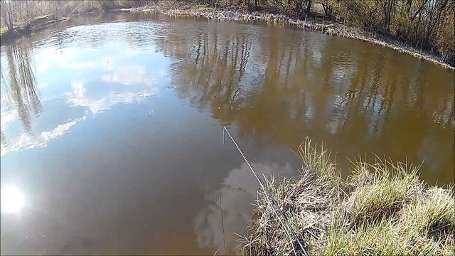ЛОВЛЯ УКЛЕЙКИ В АПРЕЛЕ. ВОТ ЭТО КЛЮЕТ. РЫБАЛКА НА РЕКЕ . смотреть онлайн