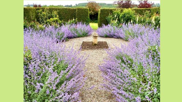 How Much Do I Spend on My Garden & Houseplant Collection? смотреть онлайн