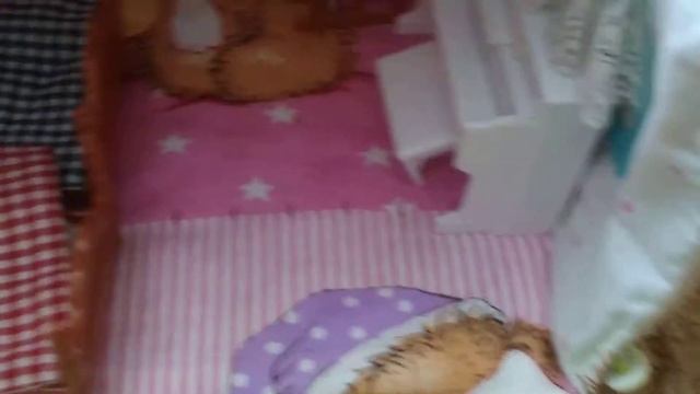 Мой домик. Подарили на День рождения. Мама Папа! смотреть онлайн