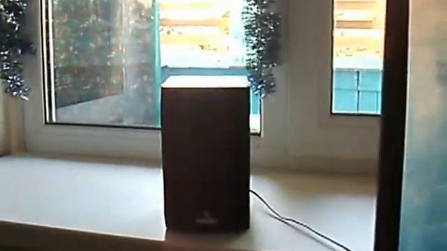 Как найти спрятавшуюся кошку - быстрый 100% проверенный способ смотреть онлайн