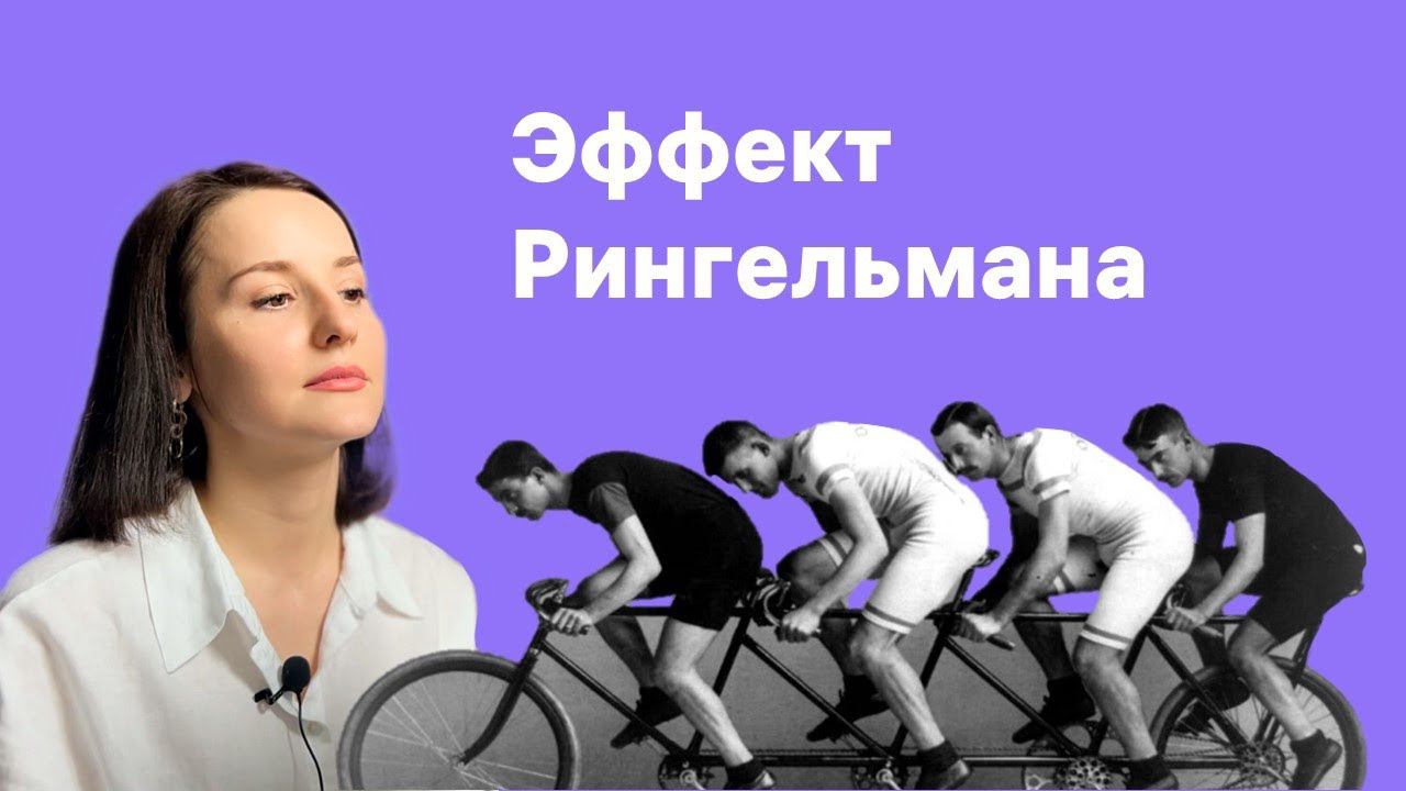 Эффект Рингельмана. Как повысить эффективность группы? смотреть онлайн