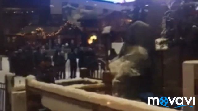 Шоу пингвинов в ОАЕ ДУБАЙ Ski Dubai в Mall Of Emirates