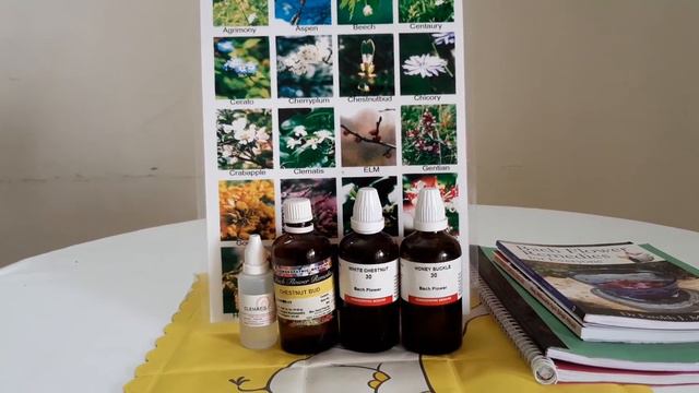 Inefficiency, Disability கவனிக்க இயலாமை இதற்கு மலர் மருத்துவம் смотреть онлайн