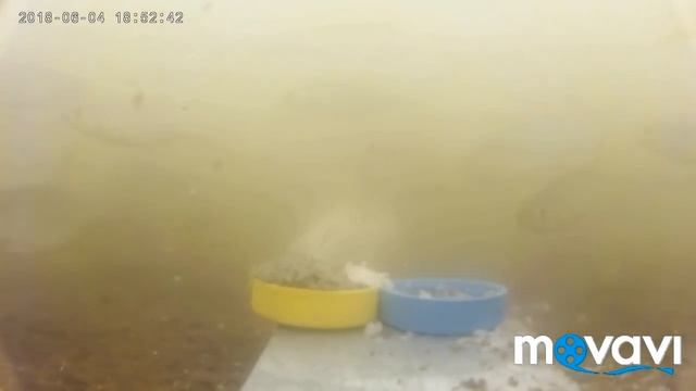 Река ЖАБАЙ (мутная вода)