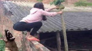 UNUSUAL MEMES COMPILATION V8 UNUSUAL VIDEOS