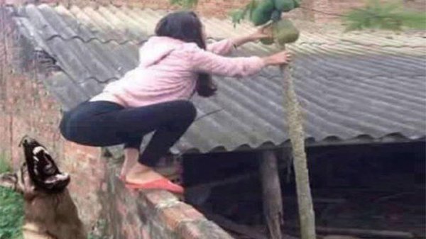 UNUSUAL MEMES COMPILATION V8 UNUSUAL VIDEOS