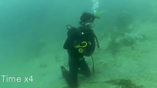 Open Water diver course at Cubadak Paradiso Village смотреть онлайн