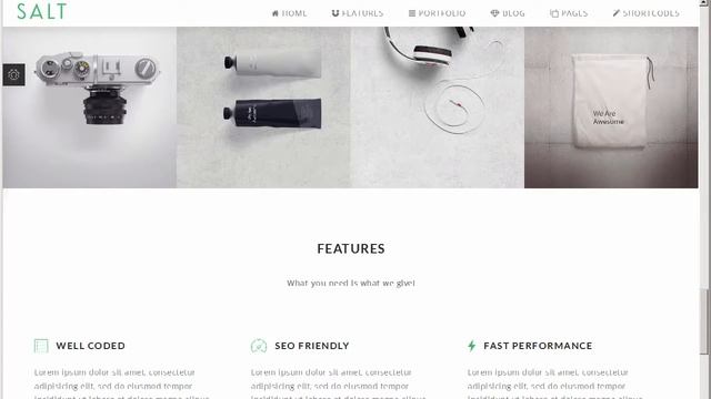 Salt - Multi-purpose HTML5 Template - Site Templates Download смотреть онлайн
