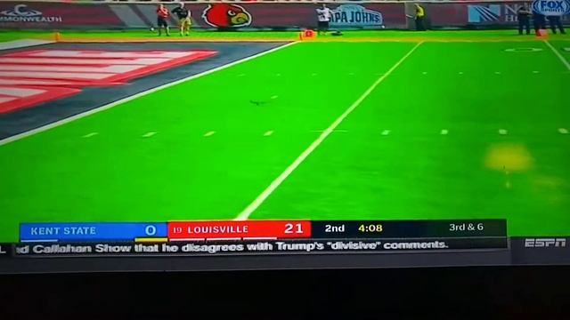 Squirrel runs 42 yards and scores a touchdown in a college game смотреть онлайн
