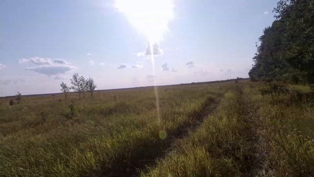 Мальва Растение. Как мы ехали вот наша дорога. осмотр и подготовка для пчёл.