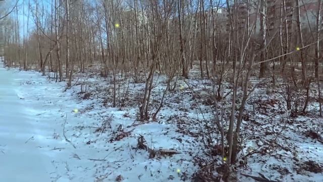 Дорогая, моя мама приезжает наведаться, - тихо сказал муж. - У нее аллергия на пыль... смотреть онлайн