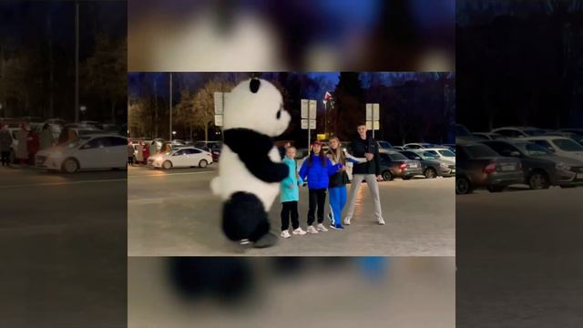 Поздравление от Панды Ульяновск и Ульяновская область. 8-927-241-45-25. #ульяновск #панда смотреть онлайн