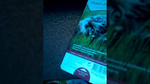 Покупки из зоомагазина!!! смотреть онлайн