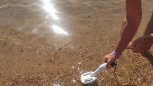 Металлоискатель крот смарт мини в Красном море