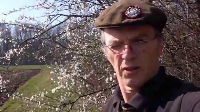 Das Horn смотреть онлайн