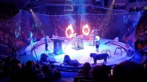 ЦИРКОВОЕ ШОУ «Страшная сила» братьев Запашных