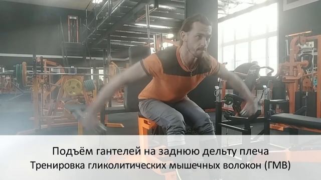 Подъём гантелей на заднюю дельту плеча ГМВ. Техника выполнения упражнений смотреть онлайн