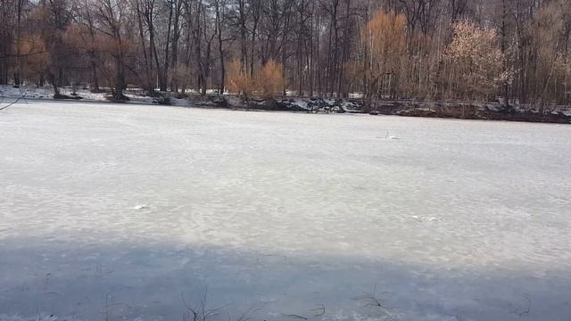 Сказ о том, как я на собеседование в Яндекс ходил смотреть онлайн