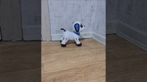 Собака-робот танцует
