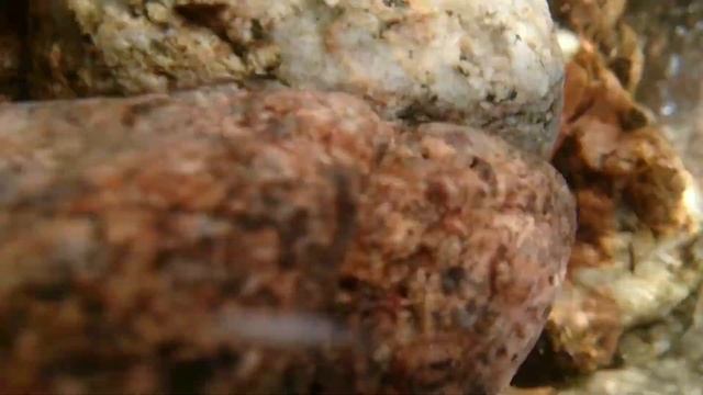 маленькое испытание Xperia Z 2 смотреть онлайн