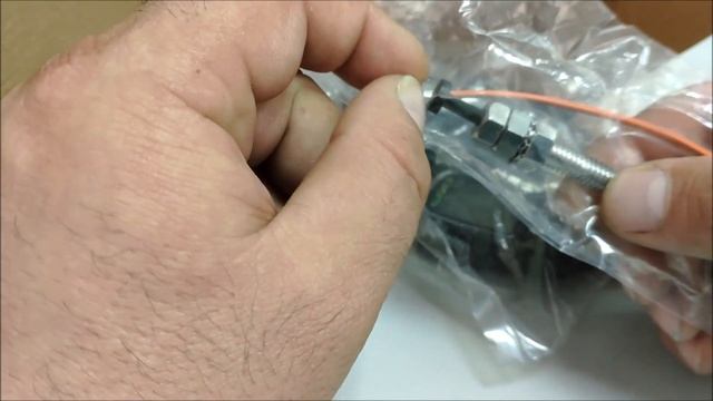 Alligator C 2C что это такое, обзор смотреть онлайн